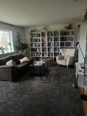 Gamla Halasjövägen, Trensum - Foto 1