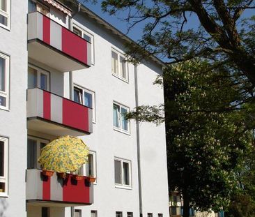 Zentral wohnen, aber im Grünen! Frisch modernisierte EG-Wohnung nah... - Foto 1