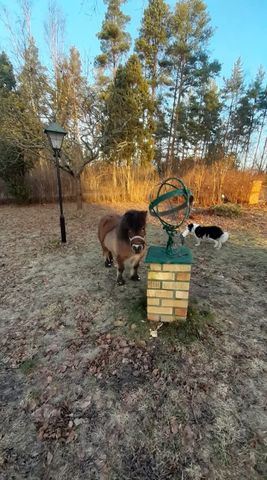 Nyängsbacken, Norrtälje - Foto 3