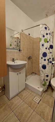 SI pentru parinti de animale decmpanie - garsoniera Podu ros -mATHAUS - Fotografie 2