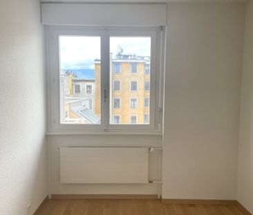 Plaine de Plainpalais - Université - Photo 5