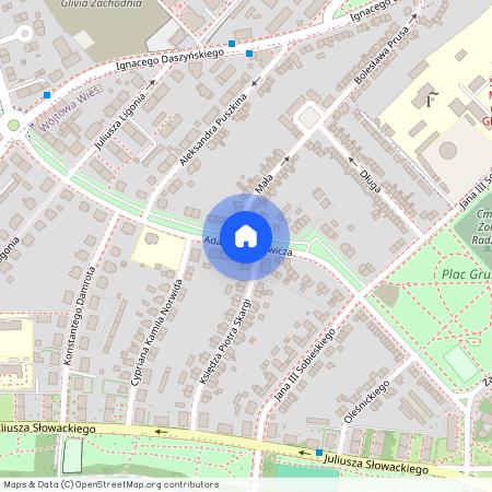 pl. Adama Mickiewicza, Wójtowa Wieś, Gliwice, śląskie