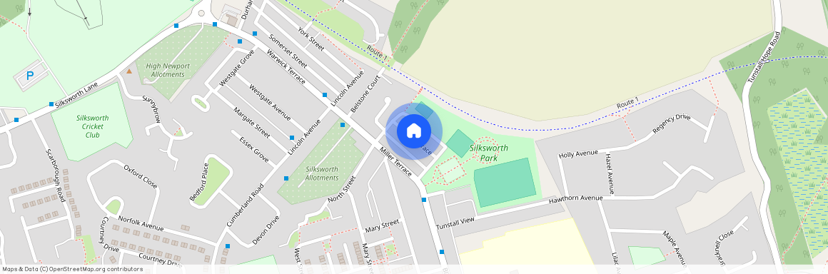 Wilson Terrace, Silksworth Sunderland