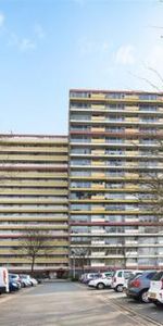 Oost Dorsch 1504 Zaandam - Foto 4