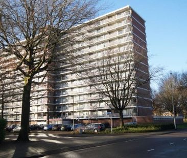 Meulemansstraat 0ong, 5012 HE Tilburg, Nederland - Photo 2