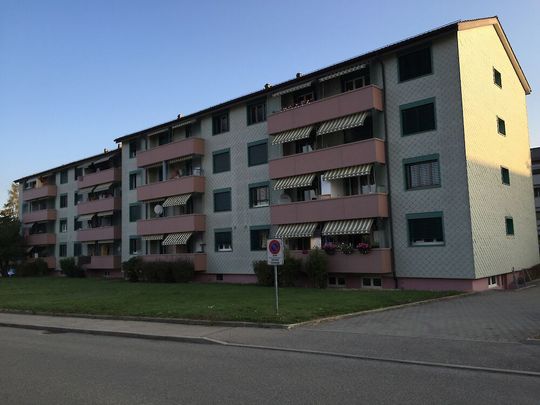 3 Zimmer, 55 m², 2. Stock - Photo 1