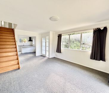 12 Mount Pleasant Road, Aro Valley - Photo 1