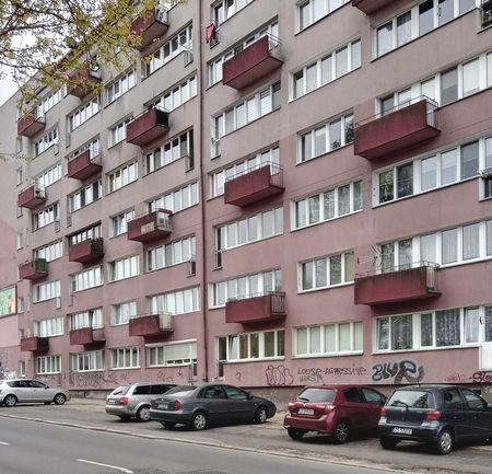 JASNE BŁONIA do wynajęcia 2 pok. po remoncie - Photo 2