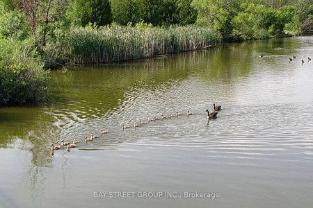 For Lease - 3 Coverdale Crescent Unit# - Bsmt, Toronto, Ontario - Photo 5