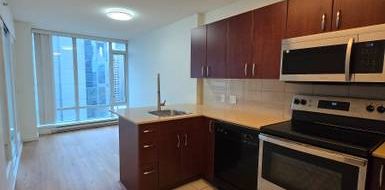 Renovated 1 Bedroom + Den at the Hudson - Photo 2