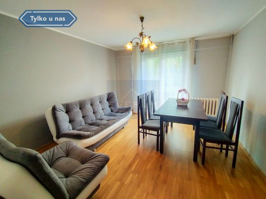 Mieszkanie na Wynajem, 46.10m - Zdjęcie 1