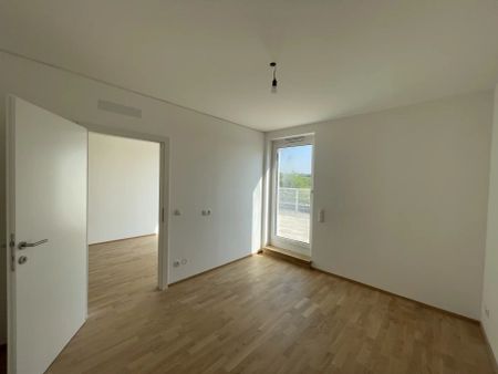 Danube Hills Perfekte Singlewohnung mit großer Terrasse - Photo 3