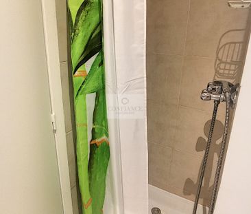 Location Appartement 1 pièce 17m² NICE 06000 - Photo 5