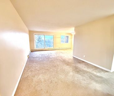 #405 18204 93 Avenue Northwest - Photo 4