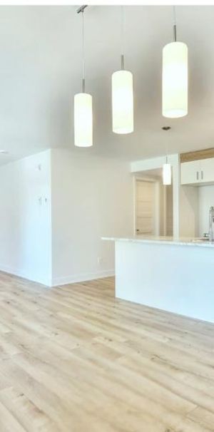 Logement 4 1/2 à louer - Photo 1