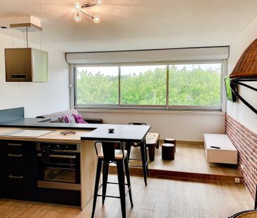 Location Appartement 1 pièce 30m² LA GRANDE MOTTE 34280 - Photo 1