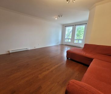 546 Av. Gonthier, Montréal (Mercier, QC H1L - Photo 6