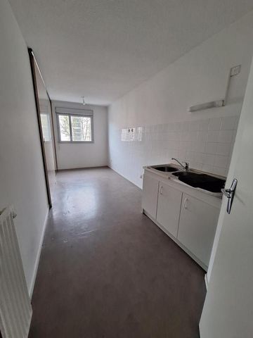 T3-11 Chemin Villebois 38100 GRENOBLE - Photo 4