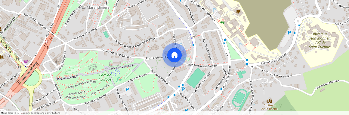 3 RUE COLETTE, 42100, St Etienne