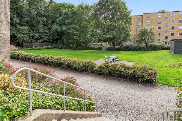 Afd. 67 Skovvænget - Photo 1