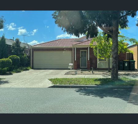 6 Garden Road, Doreen, Vic 3754 - Photo 3