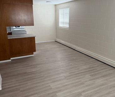 1 BDRM/1 BATH - 2315 7TH ST E - Available NOV 1 - Photo 1