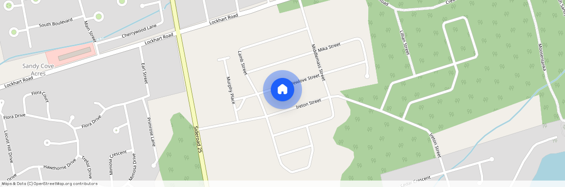 699 Newlove Street, Innisfil