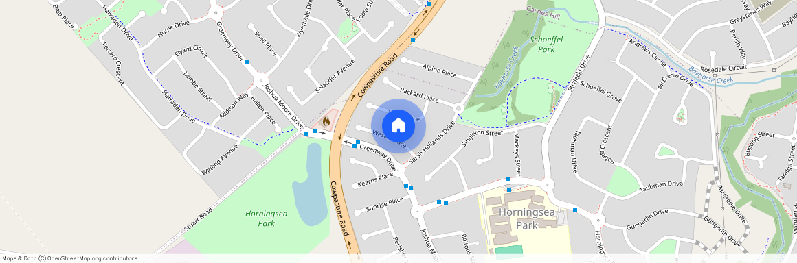 9 Wesley Place Horningsea Park, NSW 2171