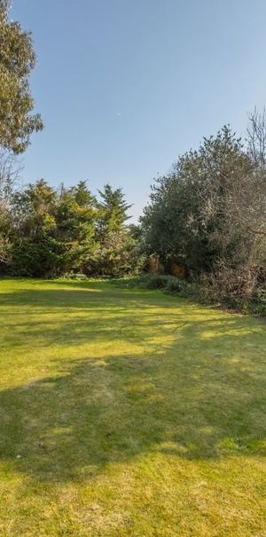 3 bedroom bungalow to rent - Photo 1