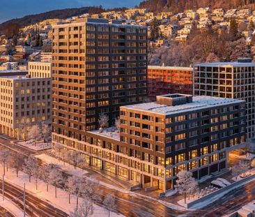 5 ½ Zimmer-Wohnung in Kriens mieten - Foto 3