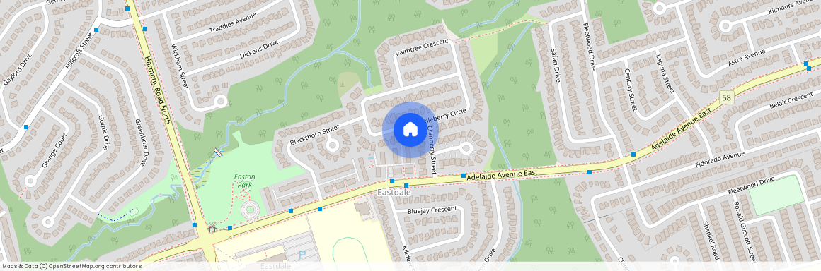 1132 Thimbleberry Circle Unit# Basement, Oshawa