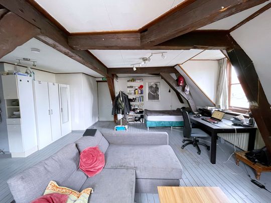 Te huur: Kamer Hogewoerd in Leiden - Foto 1