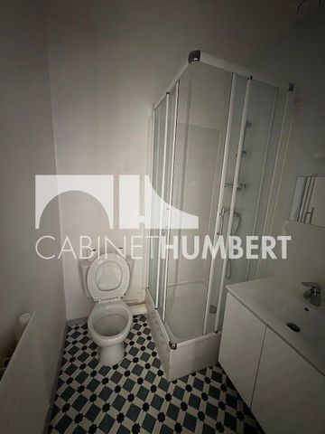 Location Appartement 1 pièce 45m² ST ETIENNE 42000 - Photo 3