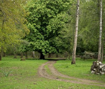 Priors Hatch Lane, Hurtmore, Godalming, Surrey, GU7 - Photo 4