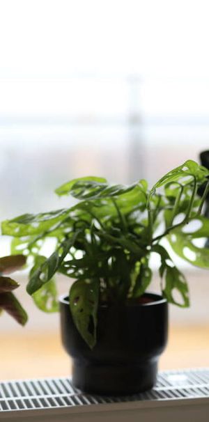 Nygatan 34 - Photo 1