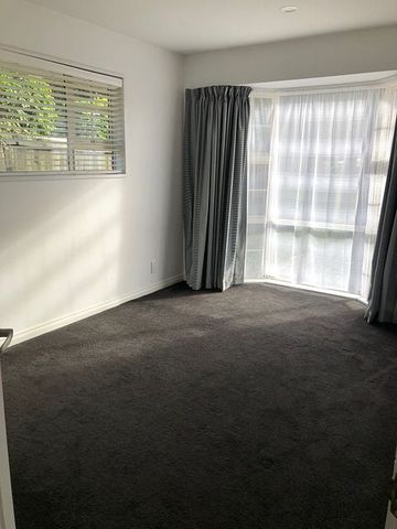 Private, Quiet, Secure. Walk to Hagley Park / CBD - Photo 5