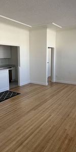 Large Bright and Beautiful One Bedroom - Photo 3