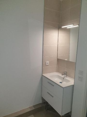 Location Appartement 1 pièce 24m² CASTELNAU LE LEZ 34170 - Photo 3