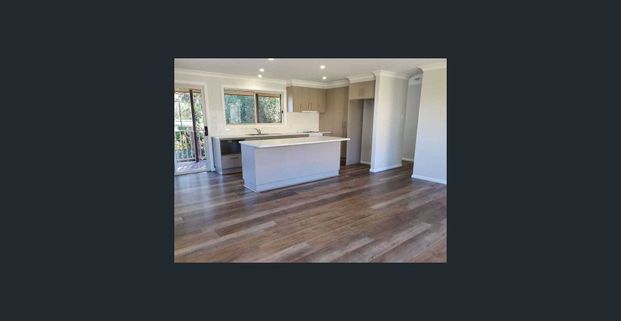 Beautifully Renovated - Water Usage Included! - Photo 1