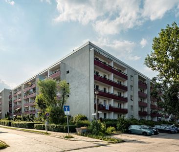 Heimwerker aufgepasst - Gemütliche 1-Zimmer Wohnung in Hellersdorf - Photo 3