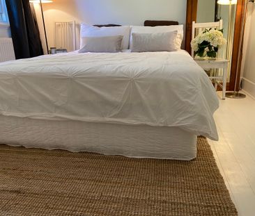 Hawthorn East - Photo 6