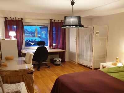 Kvarnkammargatan, Uppsala - Photo 5