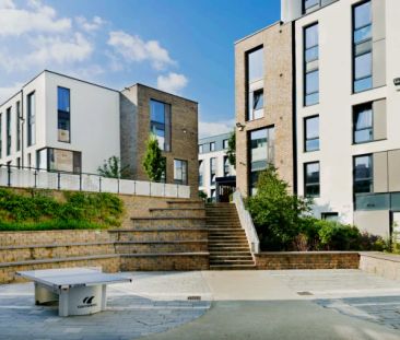 Bronze En-Suite Single - Photo 2