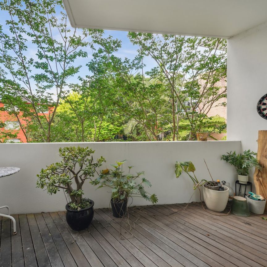 105/10-20 Anzac Parade, Kensington NSW 2033 - Apartment For Rent | Domain - Photo 1