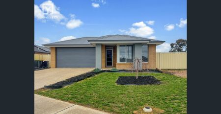 Modern Family Living in Windsor Park Estate - Photo 5