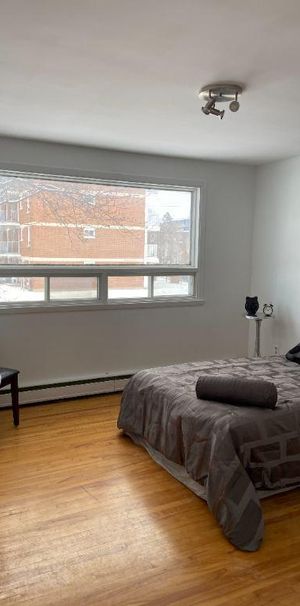 4 1/2 situé à Ste-Foy, stationnement - Photo 1