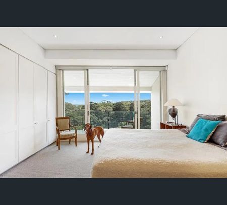 46 View Street, Woollahra, NSW 2025 - Photo 3