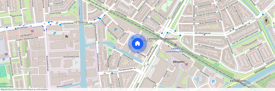 Perzikweg 116, 2321DG, Leiden