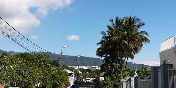 Location Appartement 1 pièce 20m² STE CLOTILDE 97490 - Photo 3