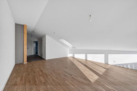 Nice 2.5 room new - Photo 5